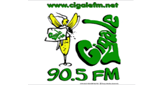 Cigale FM