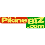 Pikine Biz Radio