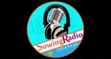 Sowing Radio