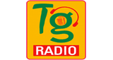 Telangana Radio