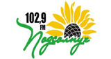 Radio Podsolnuh 102.9 FM