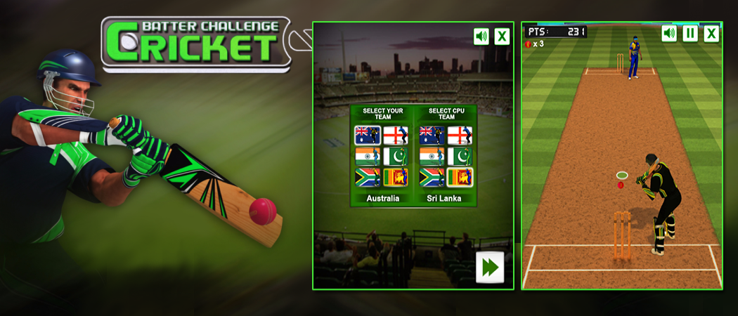 Cricket Batter Challenge
